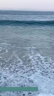 🌍 By the seaside, in the mountains or right here in Berlin –
your language journey never takes a break.

💬 Keep learning German and English with us – wherever you are!
Our daily language quizzes are back – short, fun, and perfect for your summer routine.

📲 Boost your skills in just a few minutes a day.
Because every word brings you closer to your goals.

✨ Join the challenge. Stay curious. Keep growing.

💛 Follow WIPA Berlin on Facebook and Instagram and learn with us online! Check our online tips and quizzes. 💡🔍

#sommerferien #deutschlernen #studygerman #germansummercourses #deutschsommerkurse #learnlanguages #learnlanguagesonline #deutschonline #germanonline #germanonlinecourse