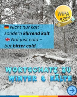 ❄️⚡ Winter, Kälte & Stromausfall – der Wortschatz, den du wirklich brauchst
🇬🇧 Winter, cold & power cuts – the vocabulary you really need

Der Winter ist da – winter is here.
Schnee fällt, snow falls, und Schnee liegt auf den Straßen, snow lies on the streets.
Ein Wintereinbruch – a sudden onset of winter – bringt Frost, frost, Eis, ice, und gefährliche Glätte, icy roads / black ice.
Man trägt Schal, Handschuhe, Mütze und Winterjacke – scarf, gloves, hat and winter jacket.

🥶 Kälte herrscht – cold prevails.
Es ist eisig, eiskalt, sogar klirrende Kälte – icy, freezing, bitter cold.
Die Temperaturen sinken, temperatures drop, es hat Minusgrade, minus temperatures, unter null, below zero.
Man friert, feels cold, zittert, shivers, friert bis auf die Knochen – freezes to the bone.
Die Kälte setzt den Menschen zu – the cold takes its toll.
Kein Wunder, dass man sich eine Erkältung – a cold – holt und die Heizung – heating – auf Hochtouren heizet, runs full blast.

⚡ Und dann: Der Strom fällt aus.
🇬🇧 The power goes out.

Es kommt zu einem Stromausfall – power outage, ein Blackout – blackout.
Die Stromversorgung bricht zusammen – the energy supply collapses.
Man ist stromlos, without electricity.
Die Steckdose – power socket – bleibt tot.
Das Licht geht aus, the light goes out.
Die Heizung funktioniert nicht, the heating doesn’t work.
Das Handy ist leer, the phone battery is dead.
Der Kühlschrank bleibt aus, the fridge stays off.
Man sitzt im Dunkeln, sits in the dark, und muss Energie sparen, save energy.

🕯️ Jetzt helfen nur noch Kerzen anzünden, lighting candles,
eine Taschenlampe benutzen, using a flashlight,
oder Notlicht – emergency light.
In manchen Fällen kommt sogar ein Aggregat / Generator – generator – zum Einsatz.

🔥 Fazit:
Der Winter zeigt sich von seiner harten Seite – winter shows its harsh side.
Aber mit dem richtigen Wortschatz bist du sprachlich vorbereitet.

👉 Speichern & teilen für dein Winter-Deutsch!
🇬🇧 Save & share to level up your winter German.

#DeutschLernen #GermanVocabulary #WinterDeutsch #Kälte #Stromausfall #Blackout #LearnGerman #GermanWords #DeutschInBerlin #DeutschAlsFremdsprache